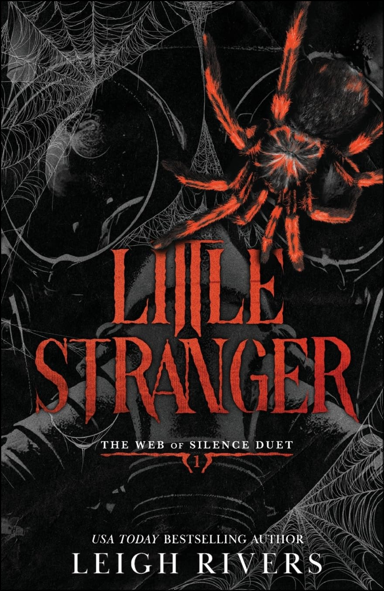Little Stranger by Leigh Rivers (Author)
