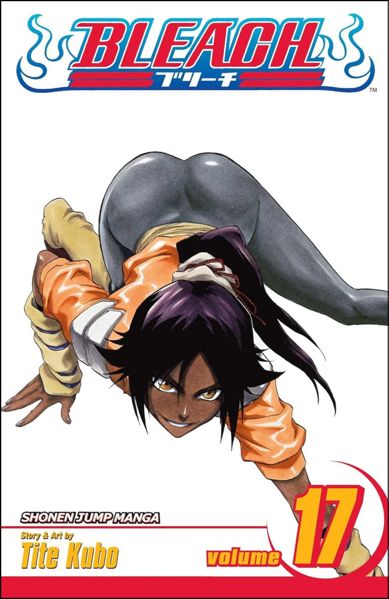 Bleach, Vol. 17 by Tite Kubo (Author) | Full Page Print Editon