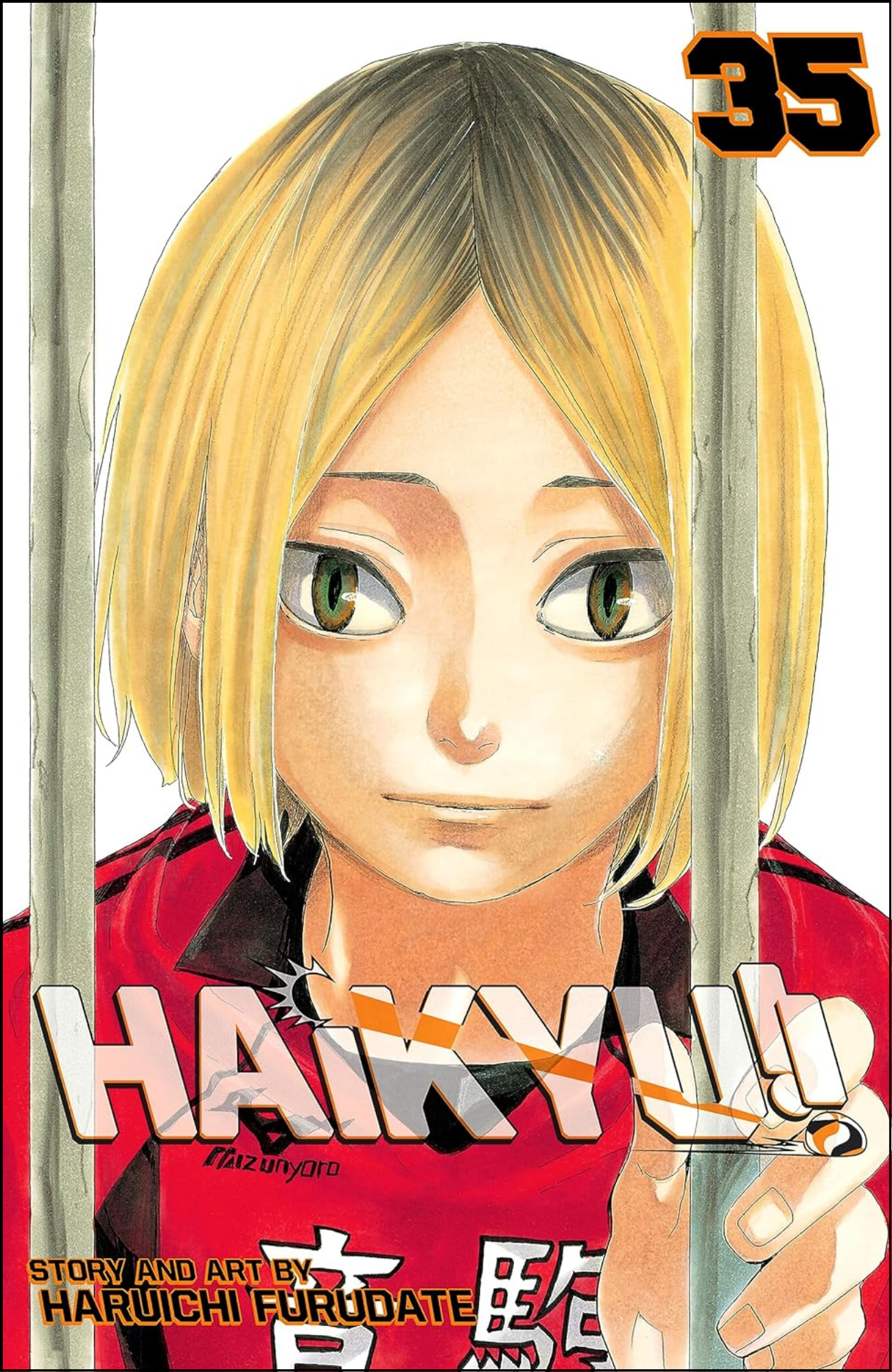 Haikyu!! Manga Collection
