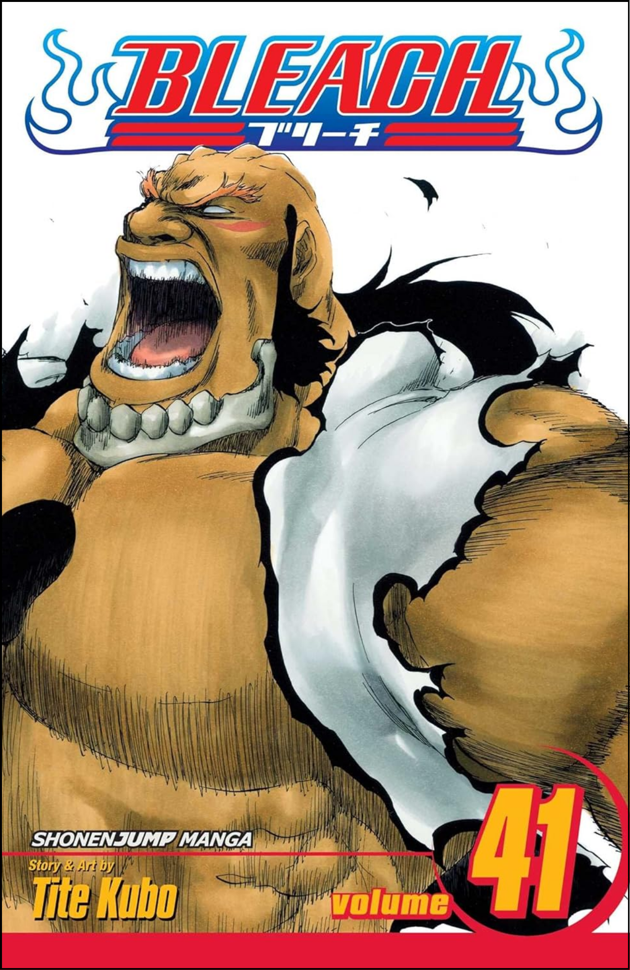 Bleach, Vol. 41 by Tite Kubo (Author) | Full Page Print Editon