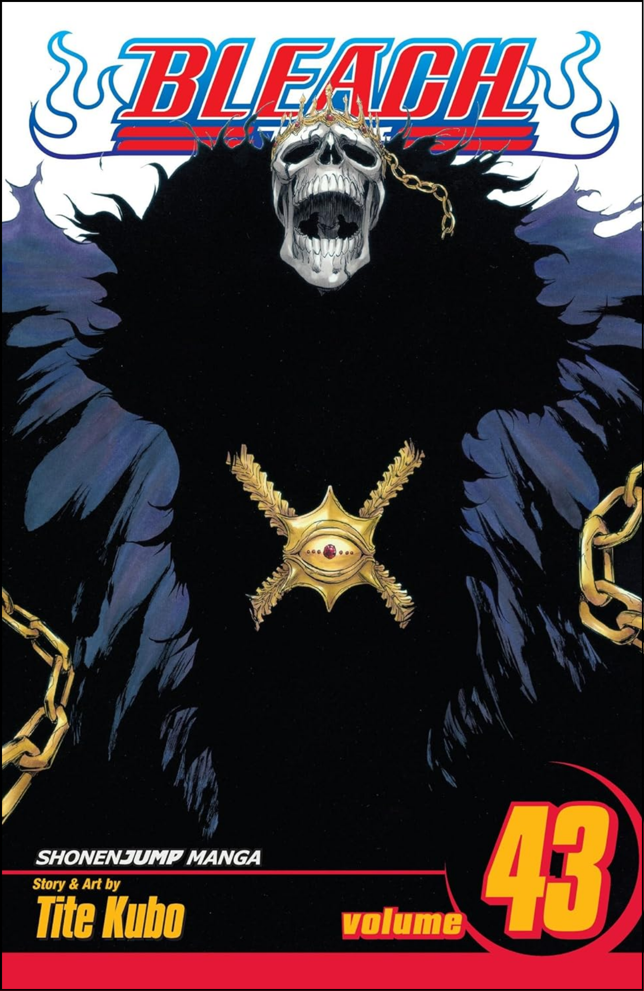 Bleach, Vol. 43 by Tite Kubo (Author) | Full Page Print Editon