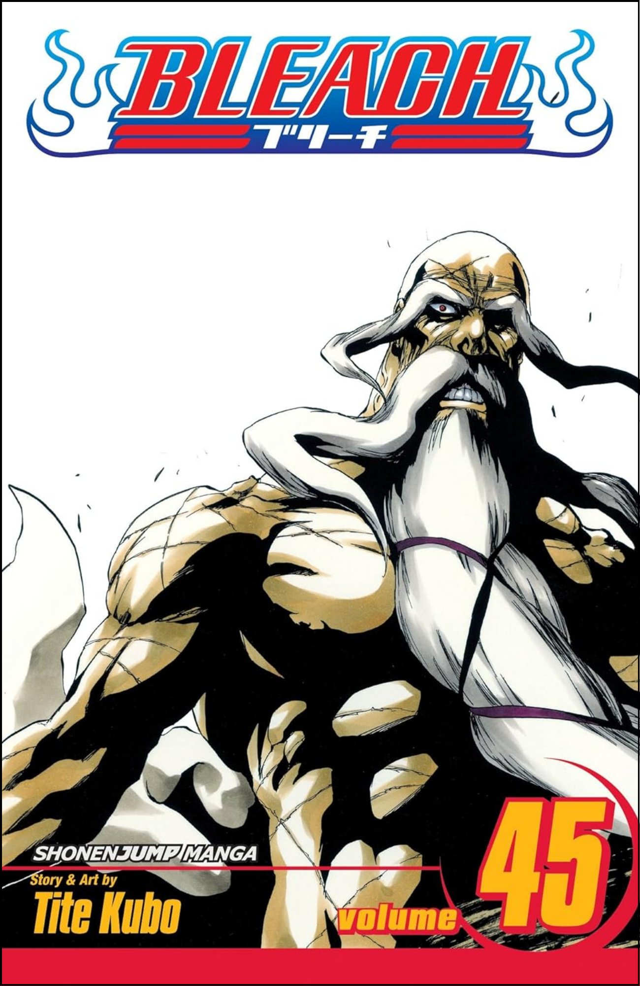 Bleach, Vol. 45 by Tite Kubo (Author) | Full Page Print Editon