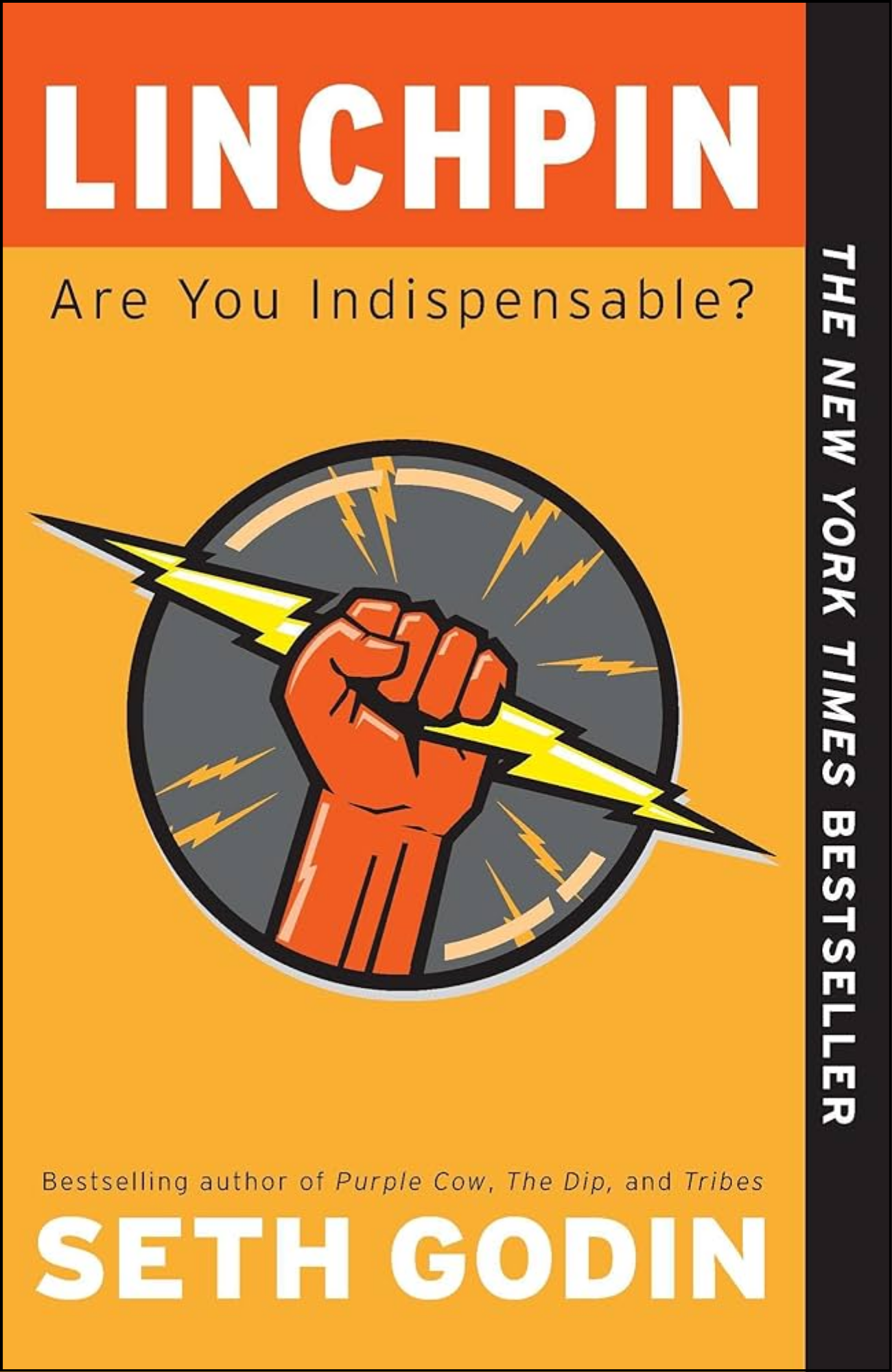 Lnchpn by Seth Godin (Author)
