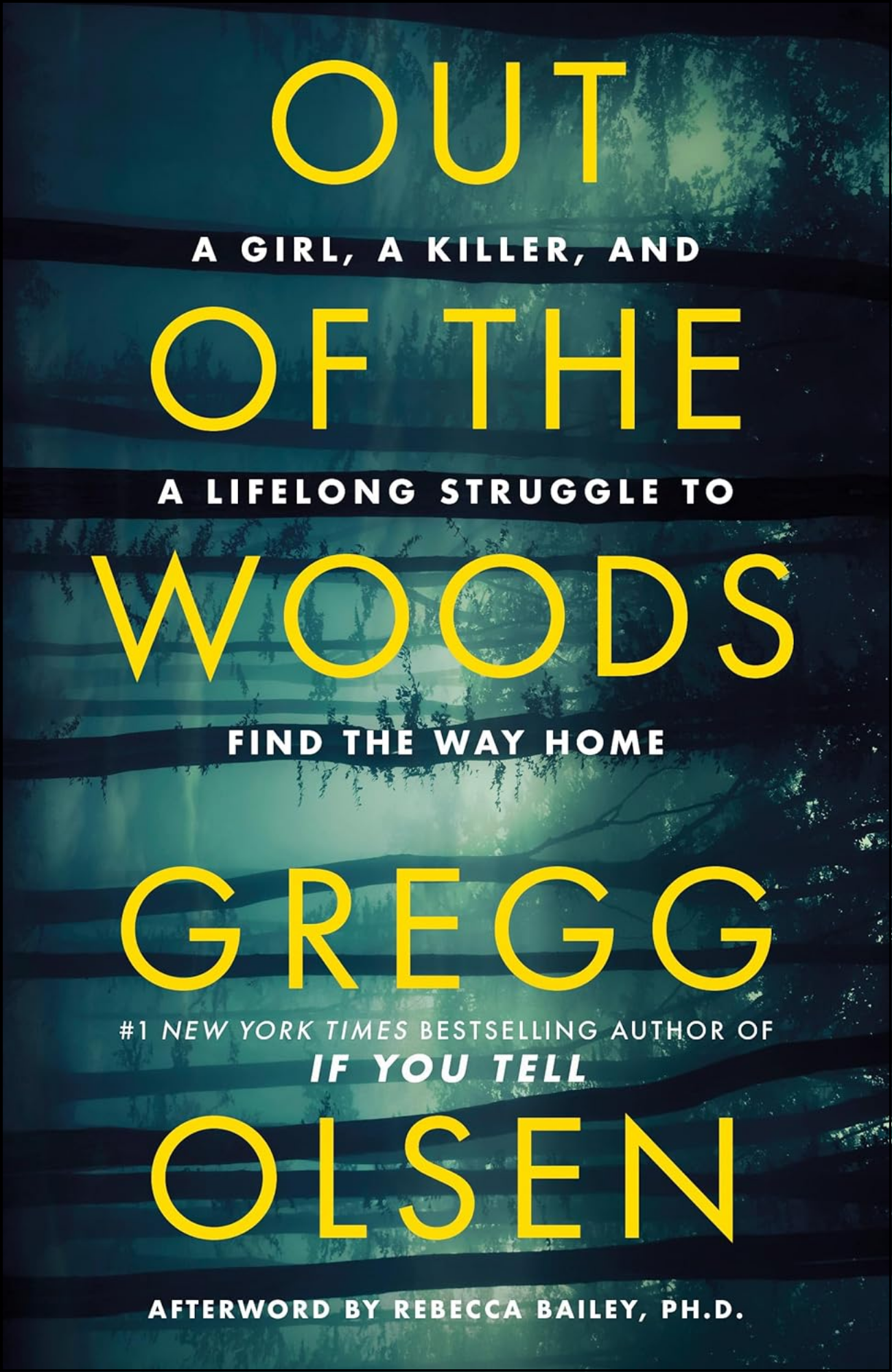 Out of the Woods by Gregg Olsen (Author)